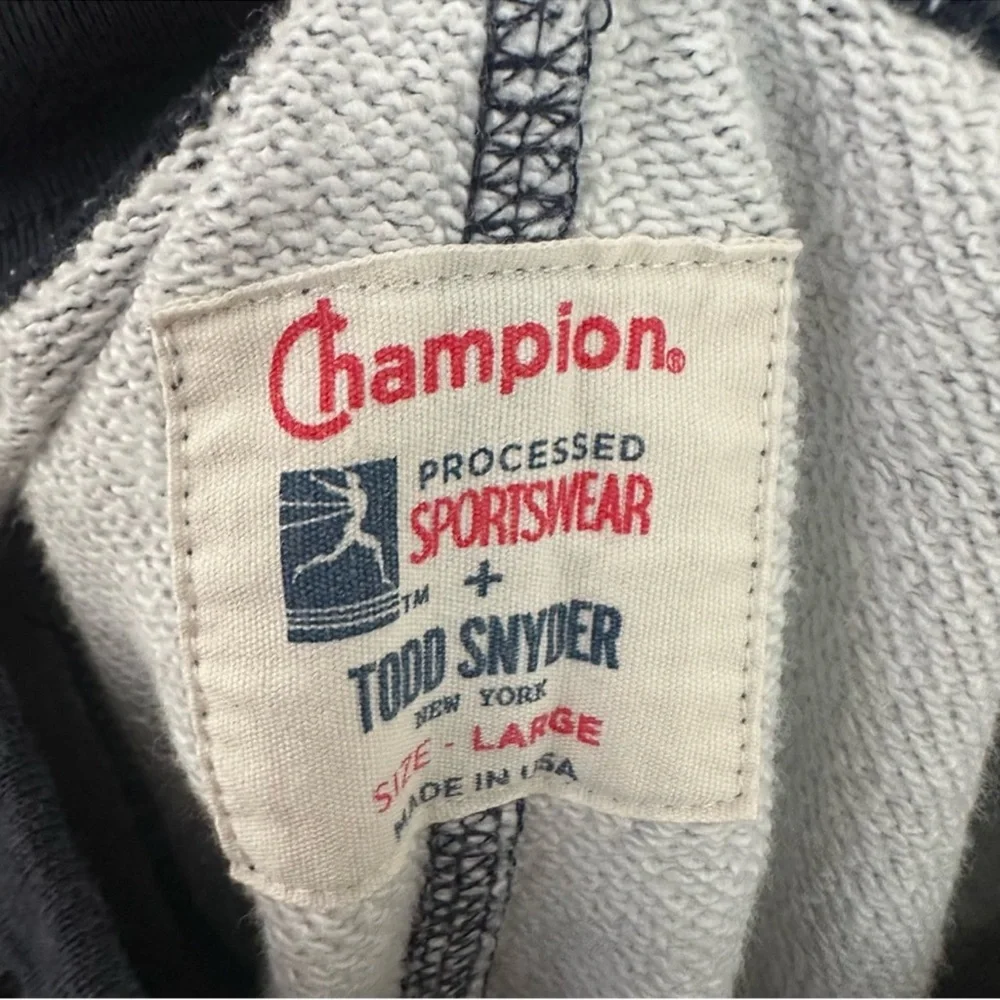 Todd Snyder X Champion Bandana Print Warm up Shorts  size large